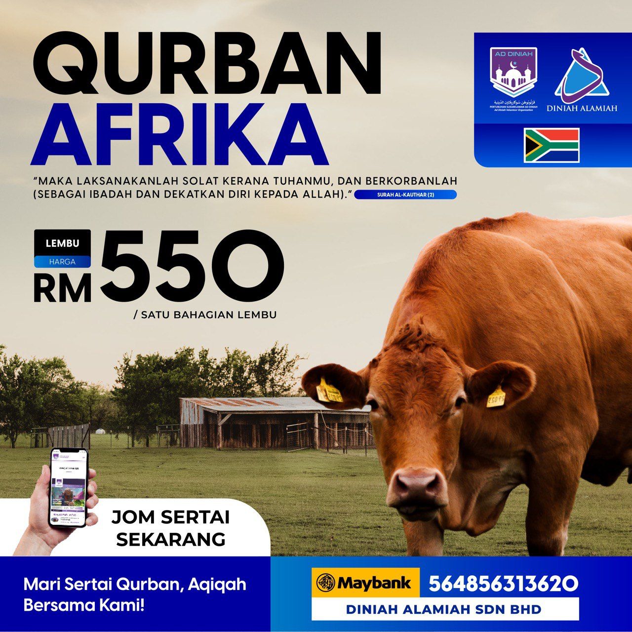 Read more about the article Ibadah Qurban Afrika 2023
